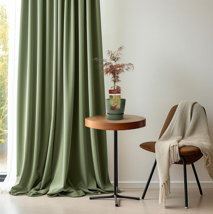 Dunkelroter Schlitzahorn - Acer palm. 'Garnet' - Ø19cm - ↕40cm