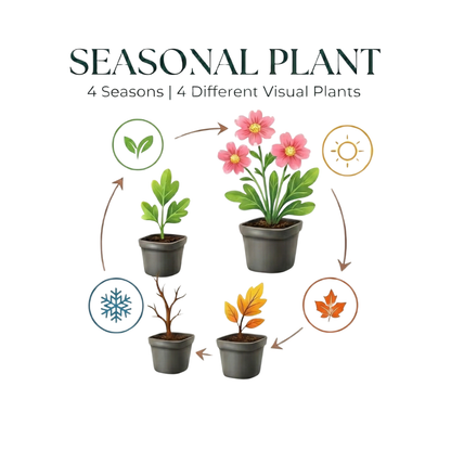 6x Maiglöckchen - Convallaria majalis - ↕10-25cm - Ø9cm