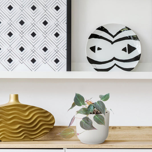 Dunkler Baumfreund - Philodendron scandens 'Micans' - 25 cm - ø12